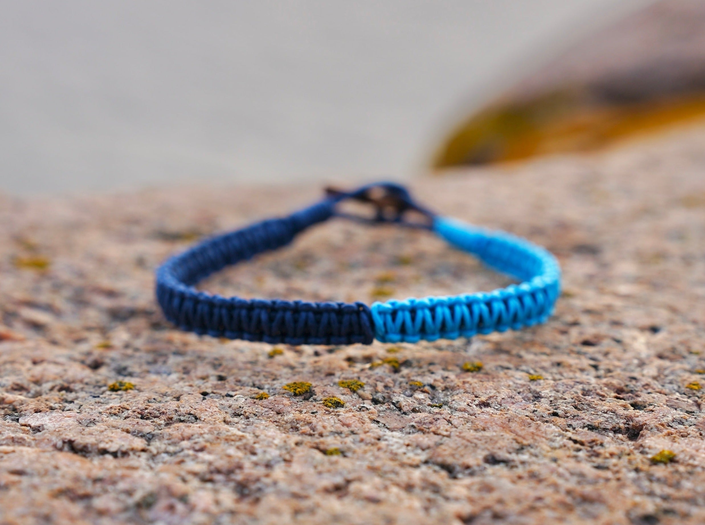 Protect Cornwall's marine animals | Portnadler beach bracelet